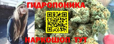 стаф Аргун