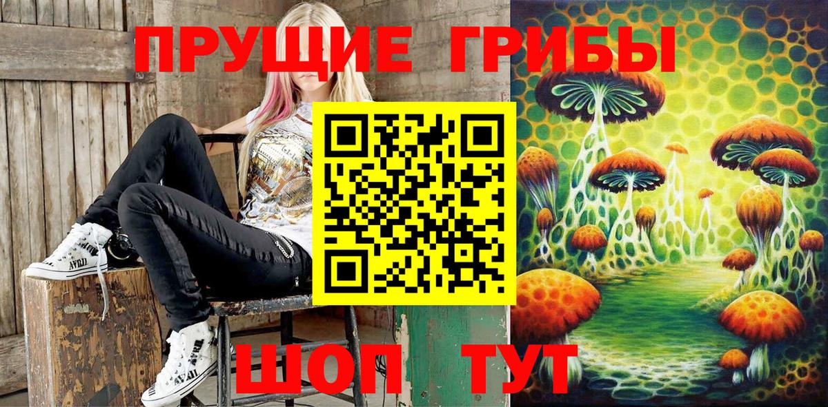 Новороссийск  наркота  Вход с VPN  Псилоцибиновые грибы прущие грибы  Псилоцибиновые грибы GOLDEN TEACHER 